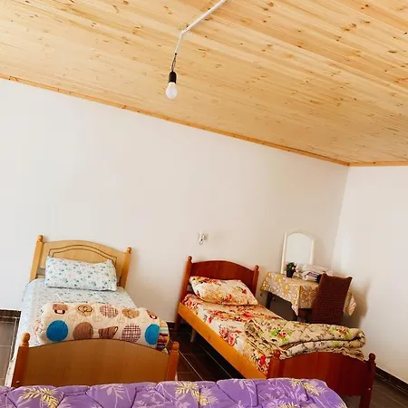 Guest house Silvester *
